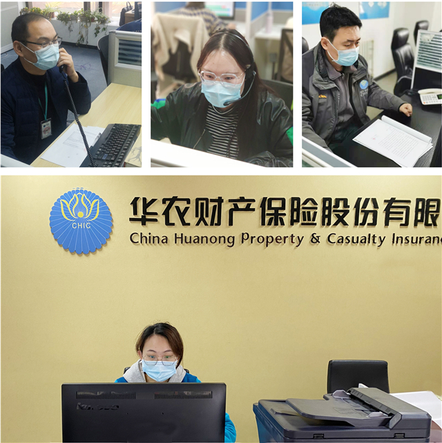 1613784923349030.jpg 華農(nóng)22.jpg
